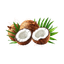 Huile de coco