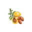 Huile d'argan